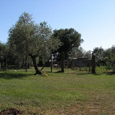 Casa Ida Vitorchiano